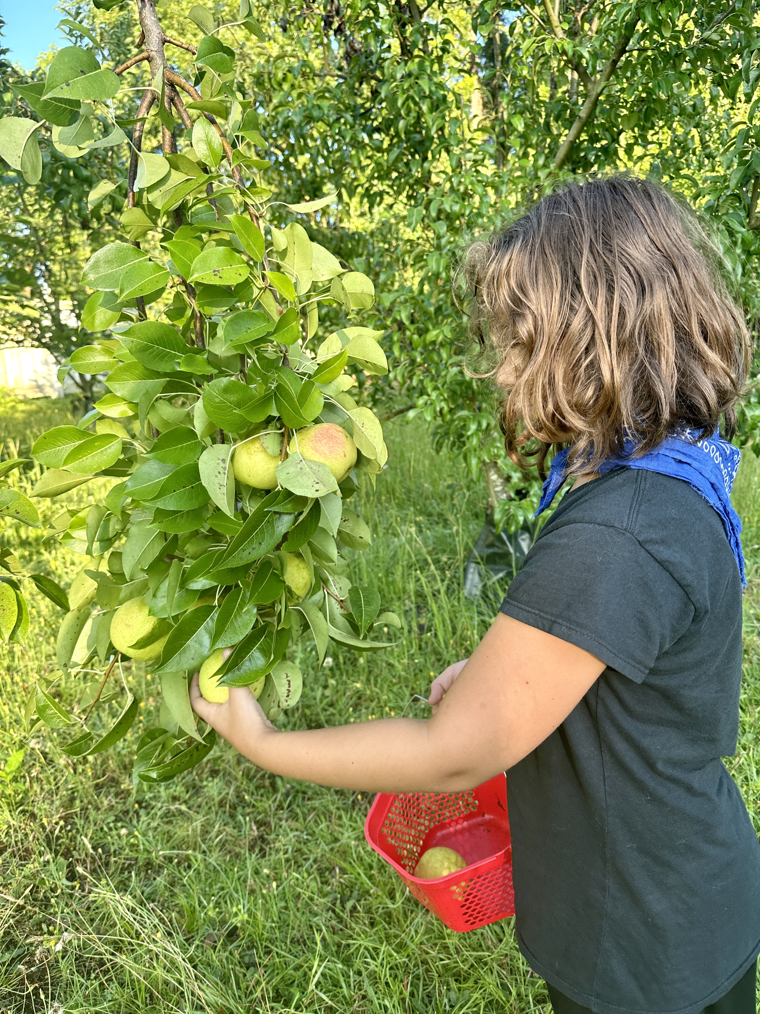 Garden Wrap-UP